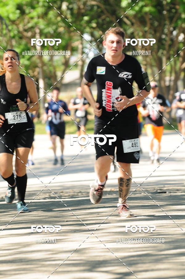 Acquista le foto dell'eventoPIT BULL RUNNING in Fotop