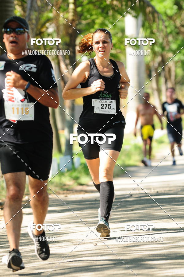 Compra tus fotos del eventoPIT BULL RUNNING En Fotop