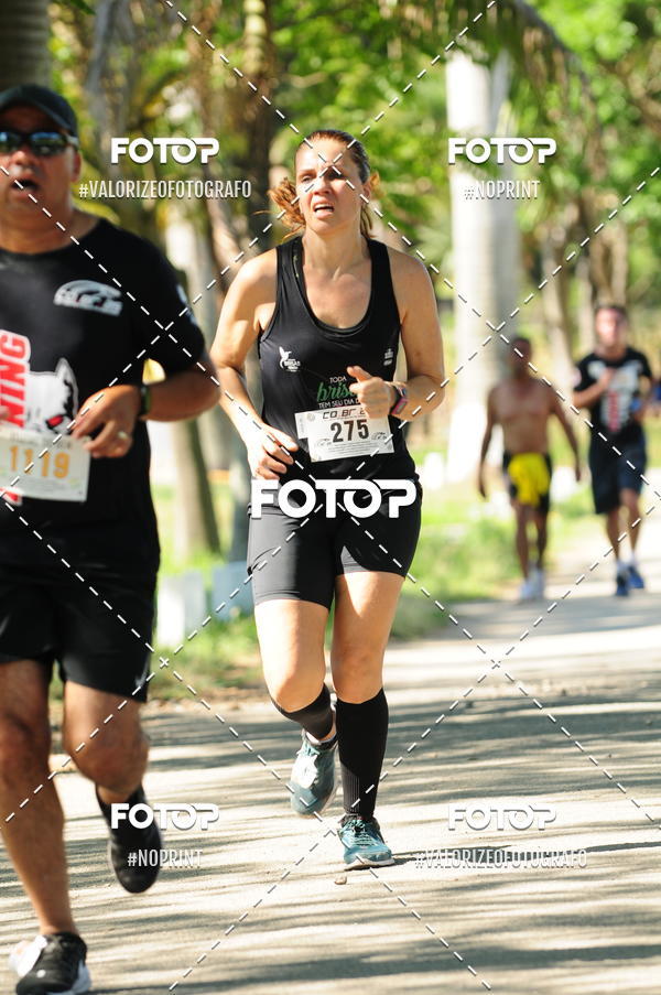 Acquista le foto dell'eventoPIT BULL RUNNING in Fotop