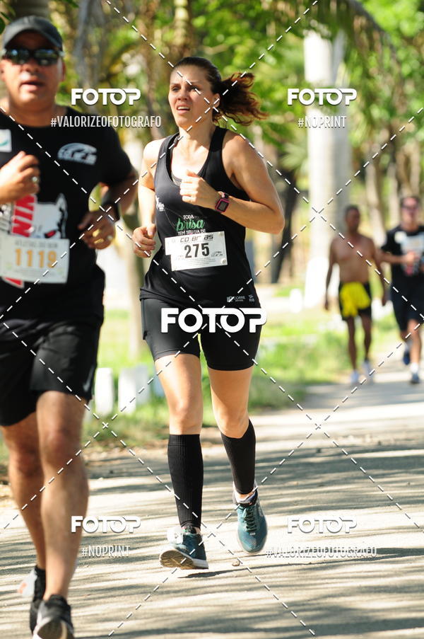 Compra tus fotos del eventoPIT BULL RUNNING En Fotop