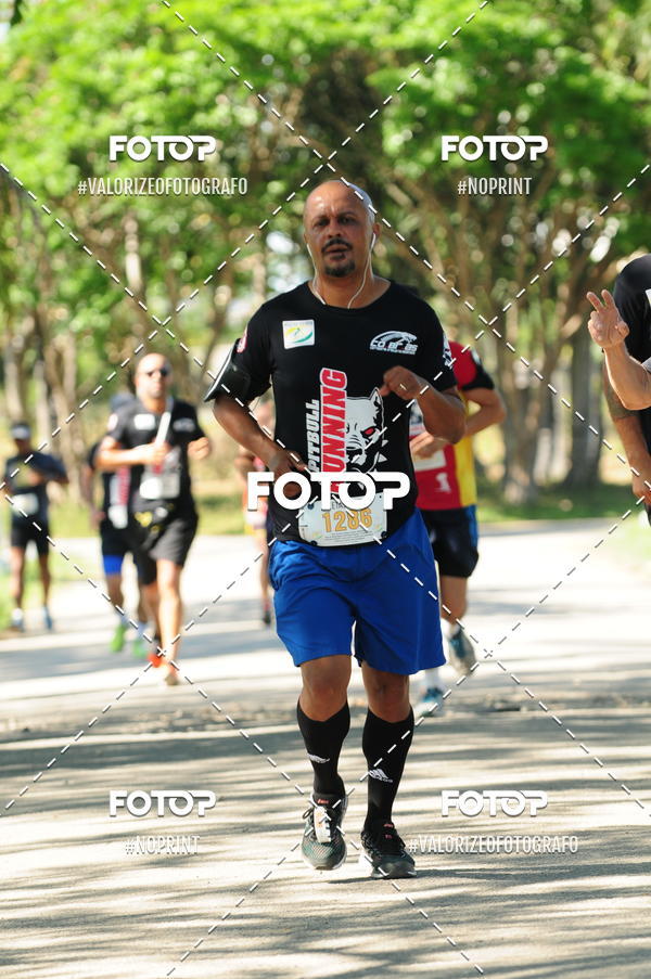 Compra tus fotos del eventoPIT BULL RUNNING En Fotop