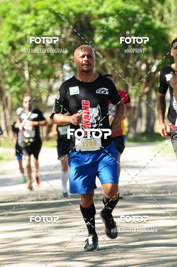 Compra tus fotos del eventoPIT BULL RUNNING En Fotop