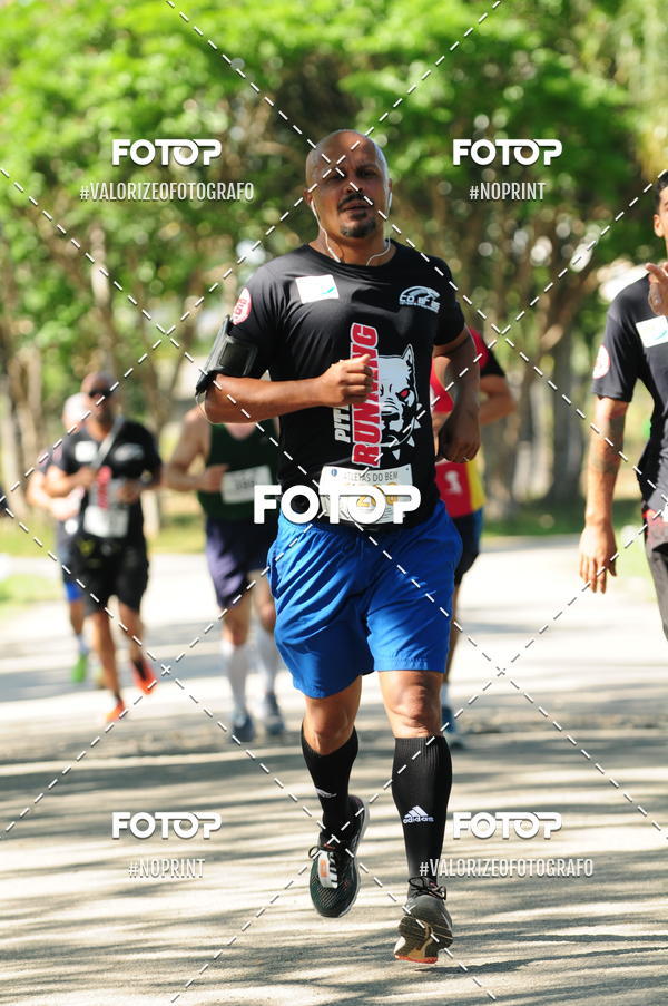 Compra tus fotos del eventoPIT BULL RUNNING En Fotop