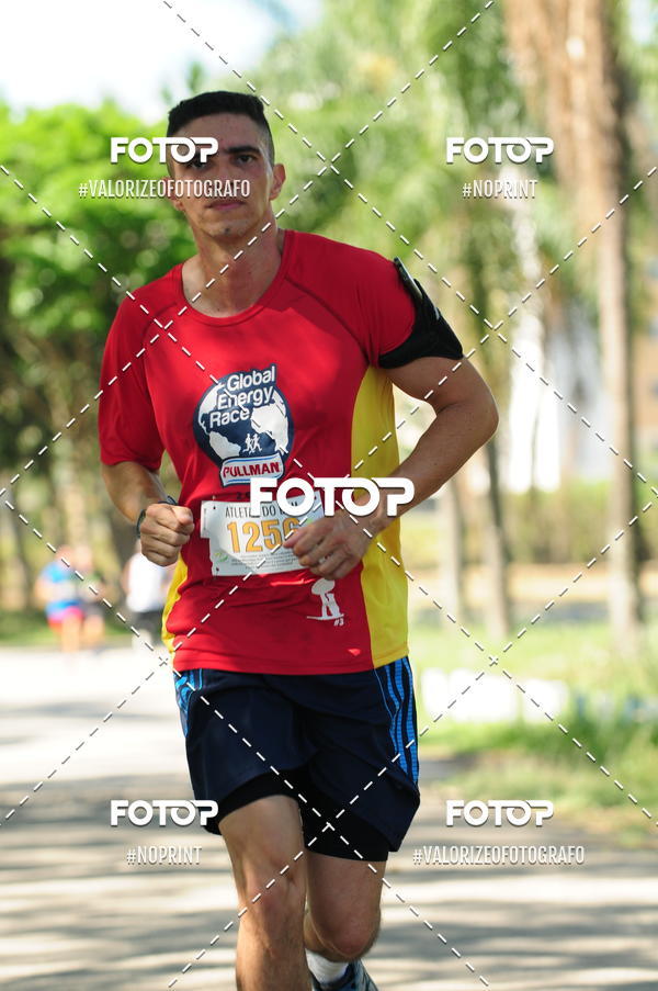 Compra tus fotos del eventoPIT BULL RUNNING En Fotop