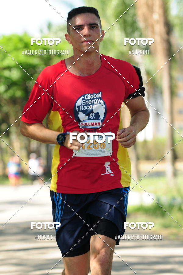 Compra tus fotos del eventoPIT BULL RUNNING En Fotop