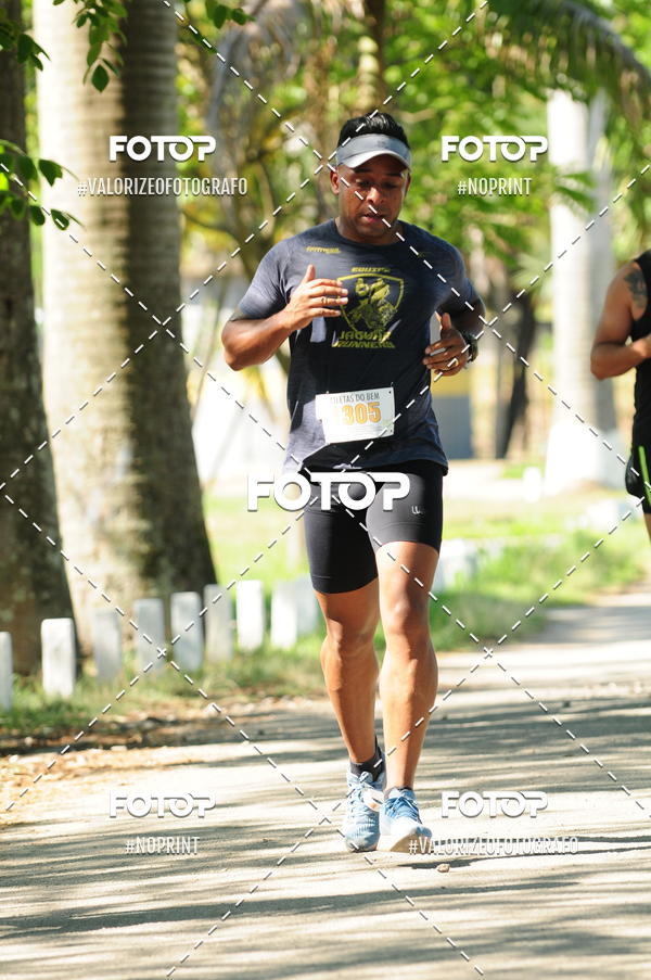 Compra tus fotos del eventoPIT BULL RUNNING En Fotop