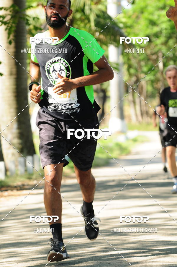 Compra tus fotos del eventoPIT BULL RUNNING En Fotop