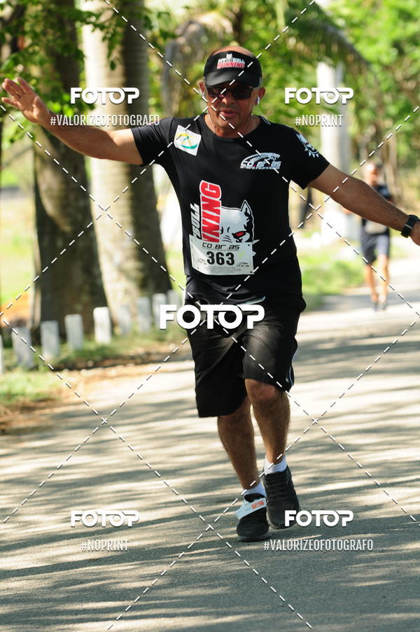 Compra tus fotos del eventoPIT BULL RUNNING En Fotop