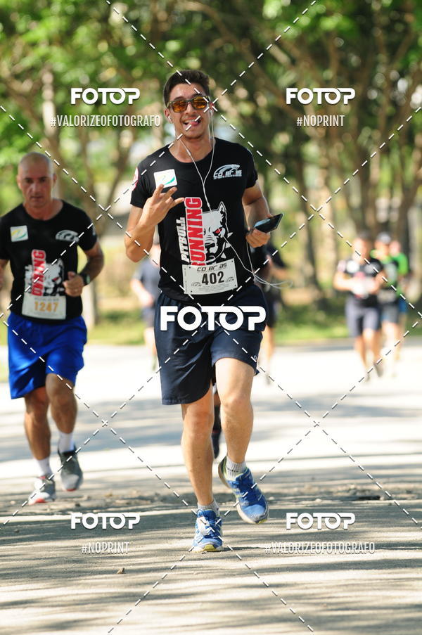 Compra tus fotos del eventoPIT BULL RUNNING En Fotop