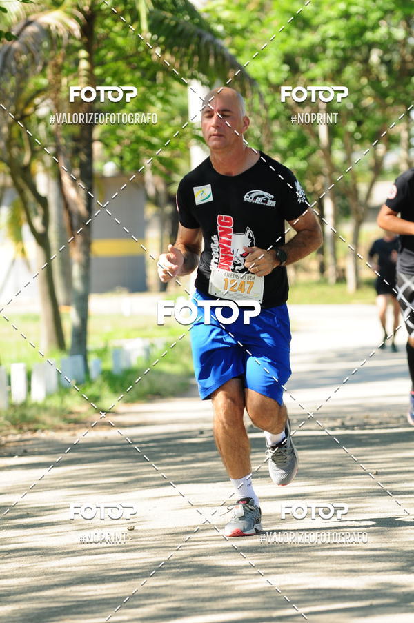 Compra tus fotos del eventoPIT BULL RUNNING En Fotop