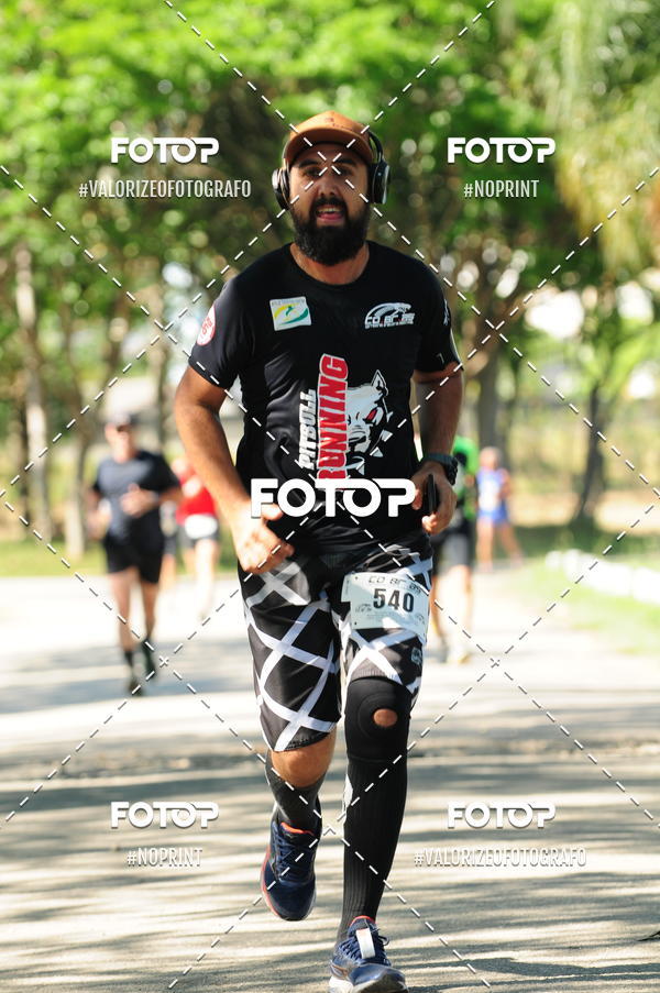 Compra tus fotos del eventoPIT BULL RUNNING En Fotop