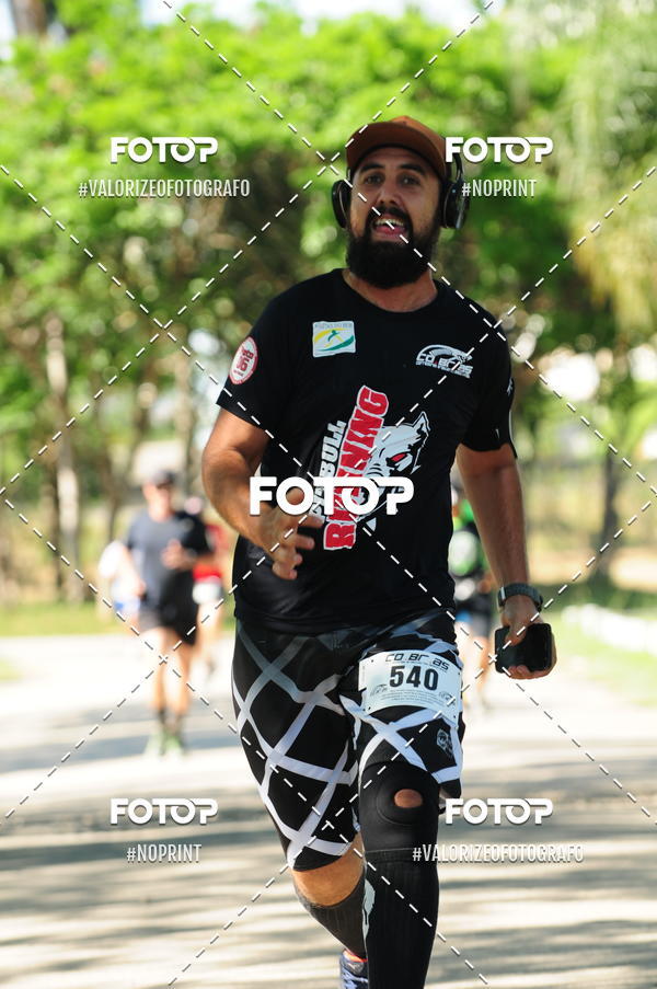 Compra tus fotos del eventoPIT BULL RUNNING En Fotop