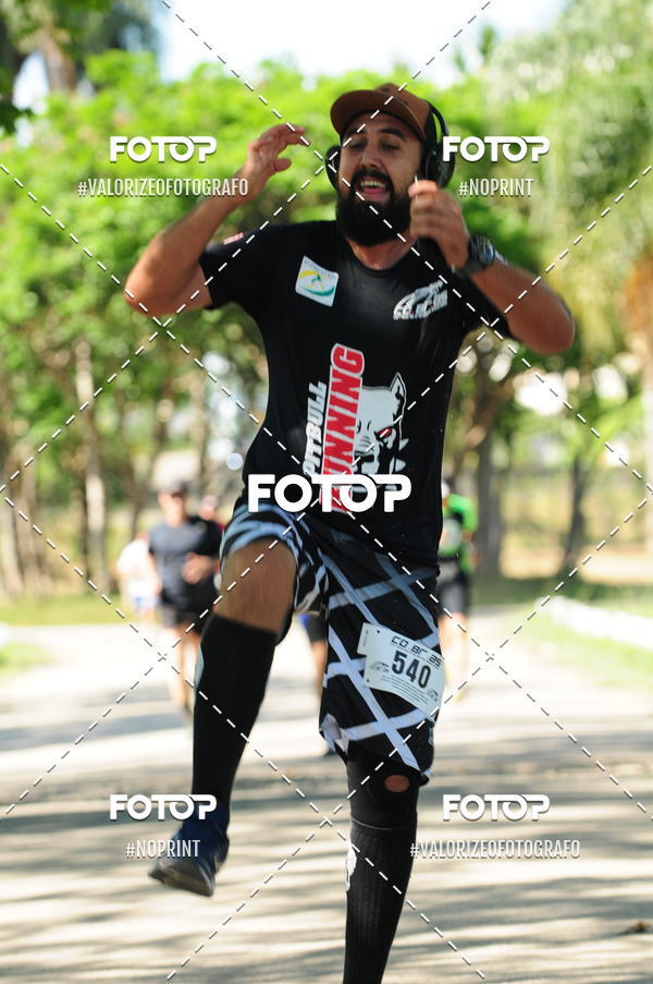 Compra tus fotos del eventoPIT BULL RUNNING En Fotop