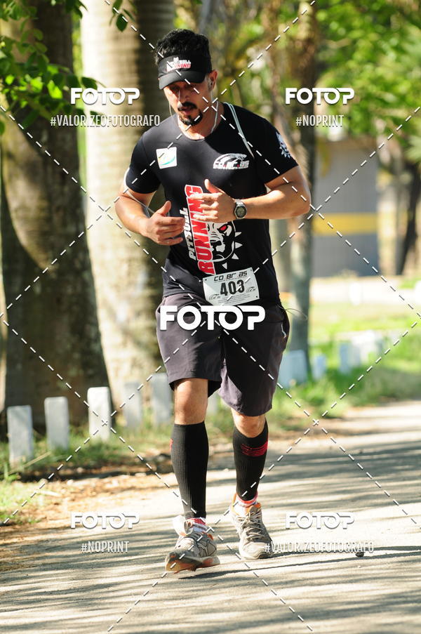 Compra tus fotos del eventoPIT BULL RUNNING En Fotop