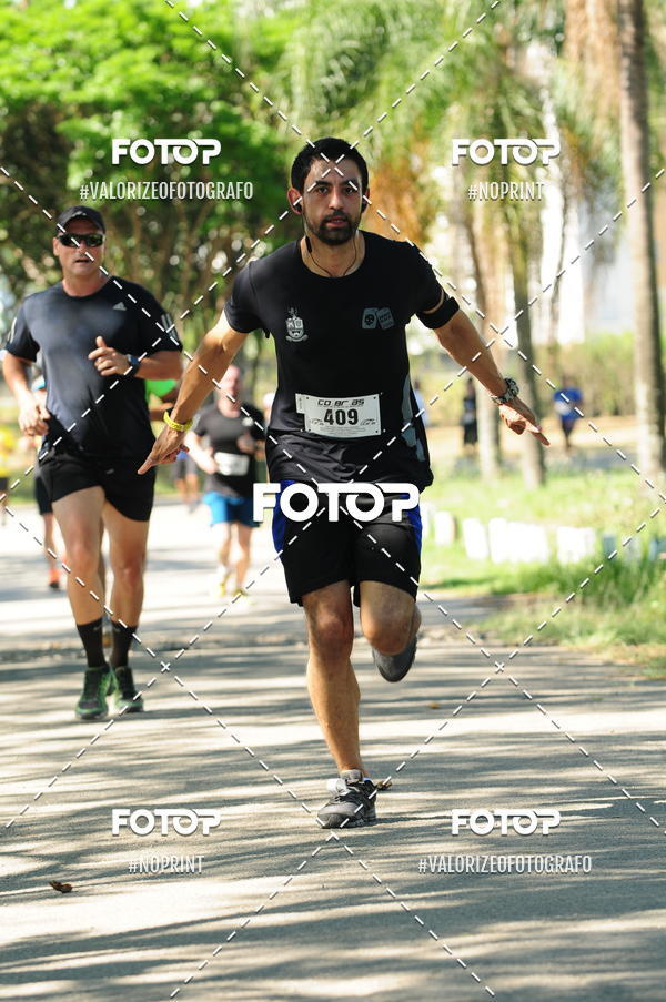 Compra tus fotos del eventoPIT BULL RUNNING En Fotop