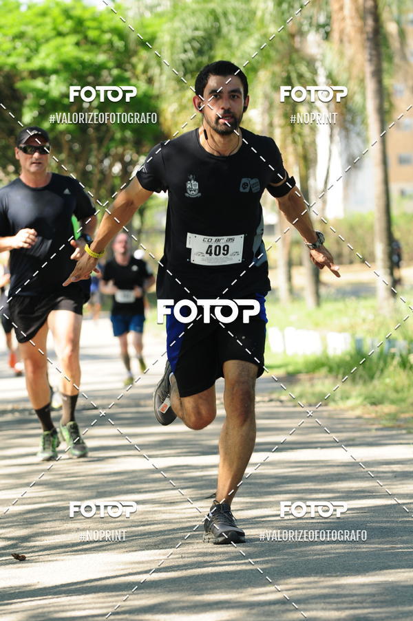 Compra tus fotos del eventoPIT BULL RUNNING En Fotop