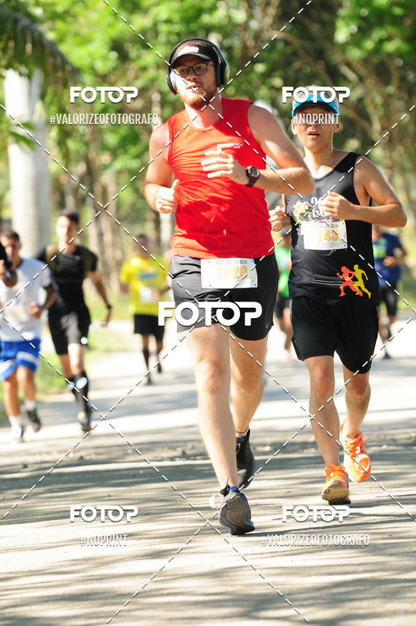 Compra tus fotos del eventoPIT BULL RUNNING En Fotop