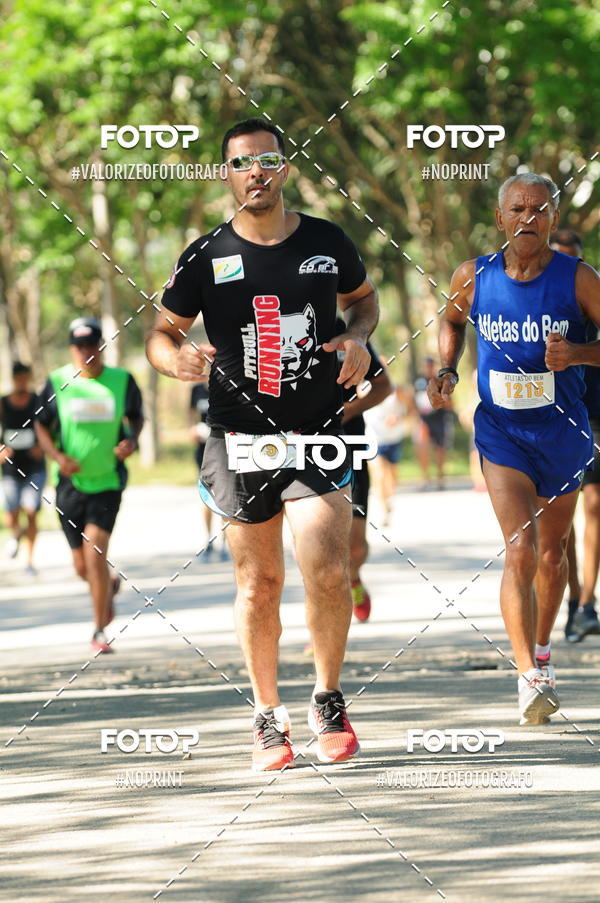 Compra tus fotos del eventoPIT BULL RUNNING En Fotop