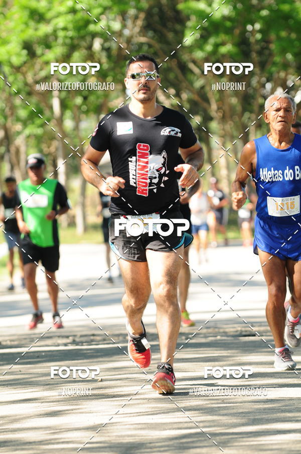 Compra tus fotos del eventoPIT BULL RUNNING En Fotop