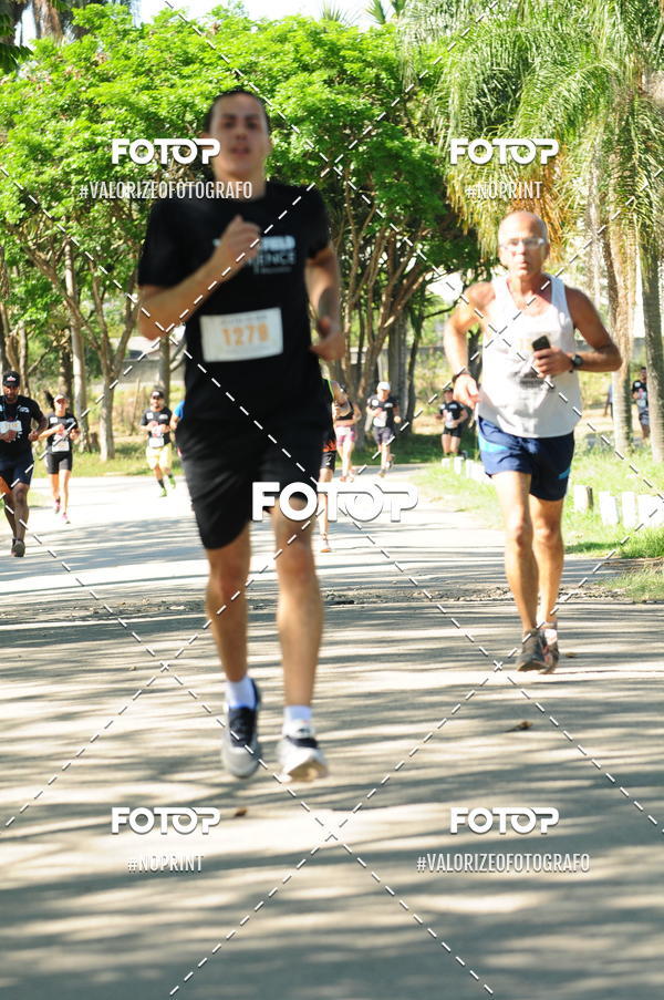 Achetez vos photos de l'vnementPIT BULL RUNNING sur Fotop