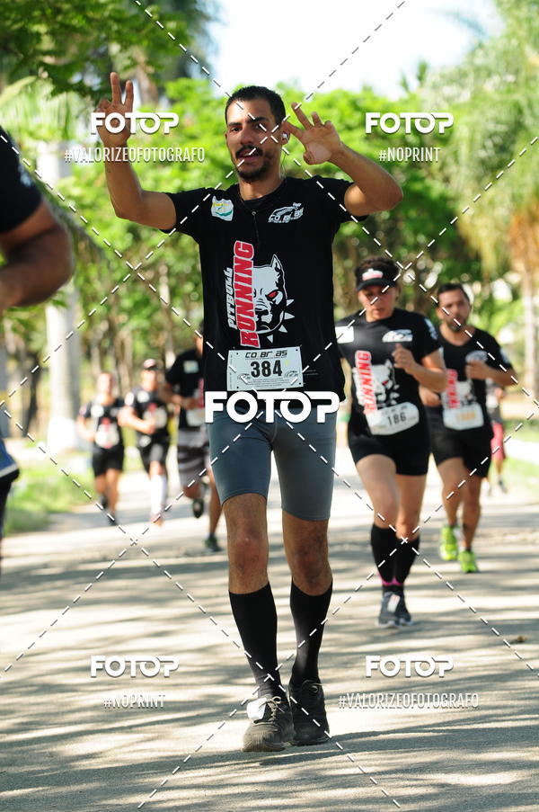 Compra tus fotos del eventoPIT BULL RUNNING En Fotop