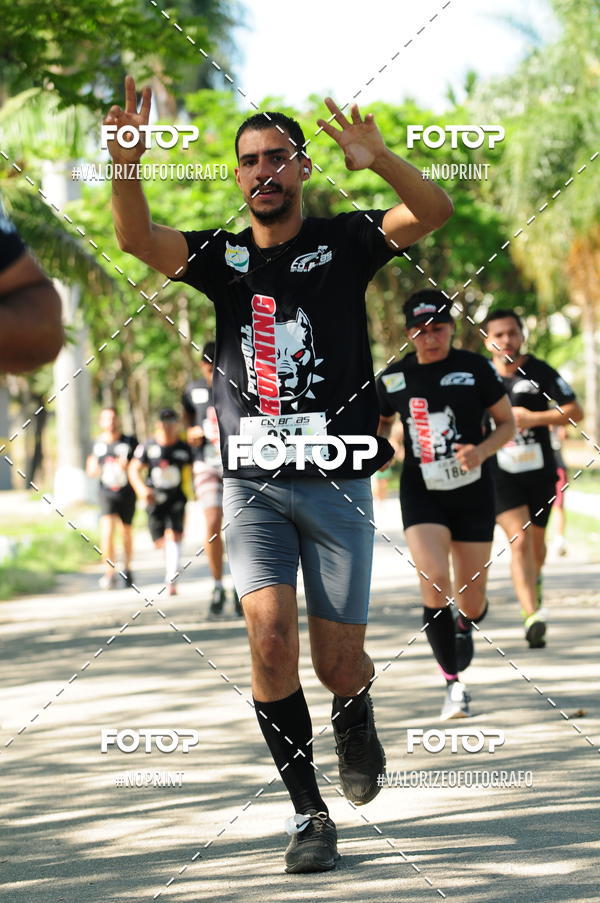 Compra tus fotos del eventoPIT BULL RUNNING En Fotop