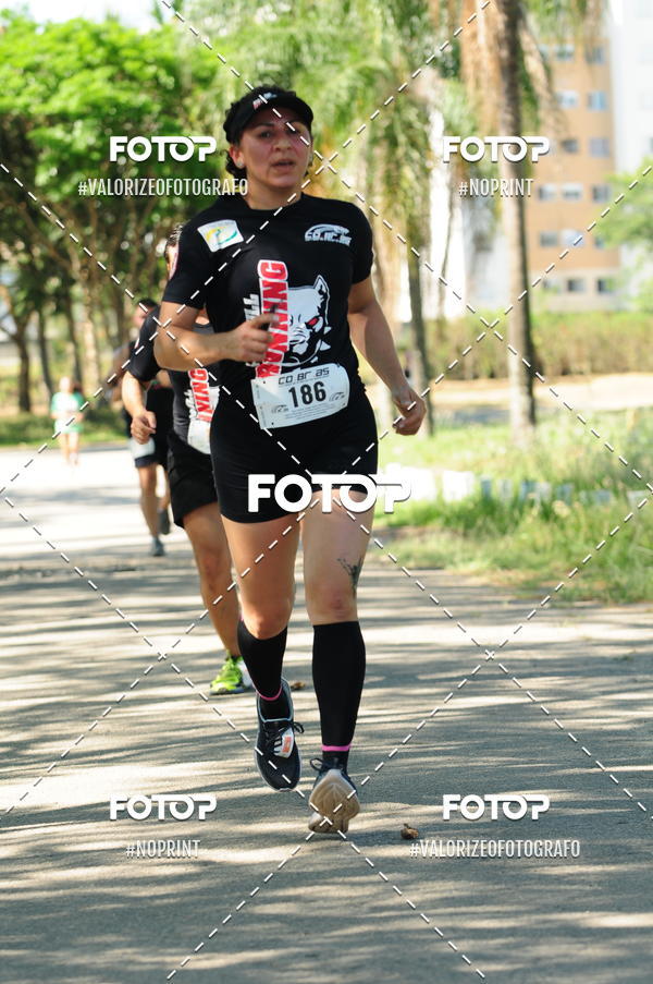Compra tus fotos del eventoPIT BULL RUNNING En Fotop