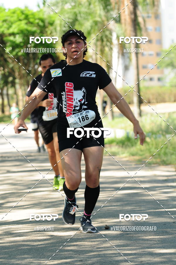 Achetez vos photos de l'vnementPIT BULL RUNNING sur Fotop