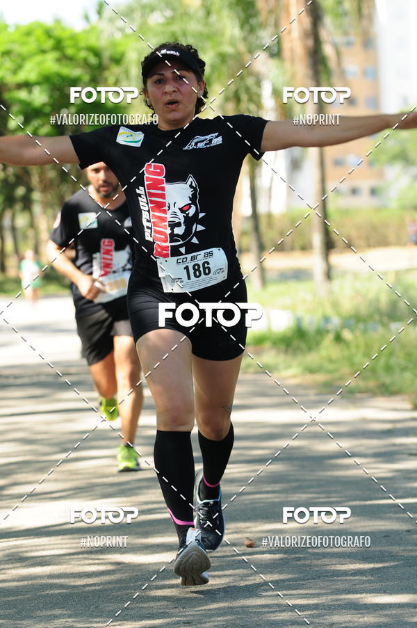 Achetez vos photos de l'vnementPIT BULL RUNNING sur Fotop