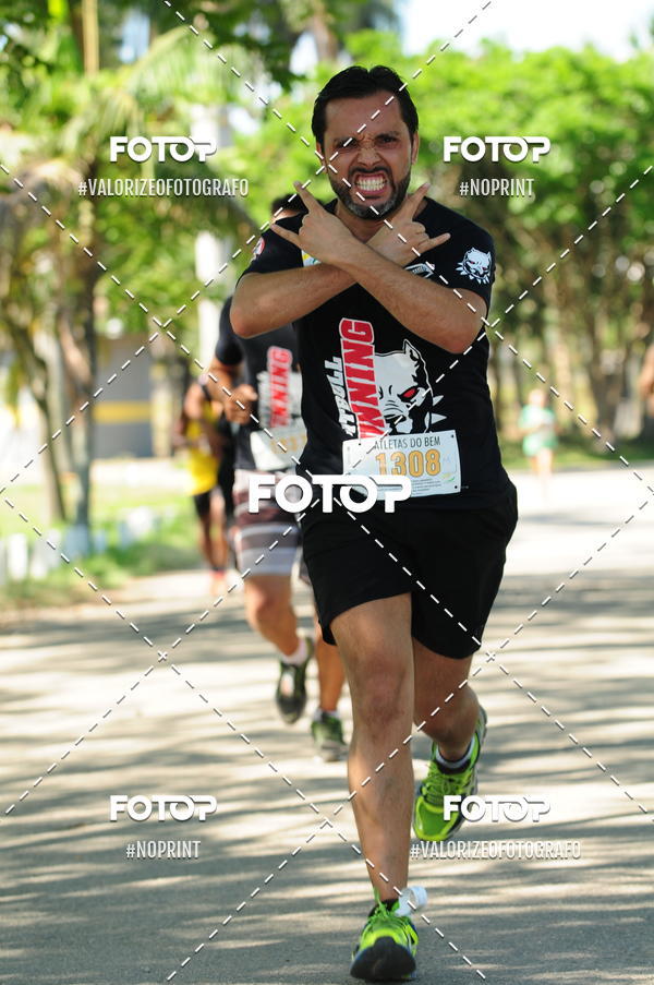 Compra tus fotos del eventoPIT BULL RUNNING En Fotop