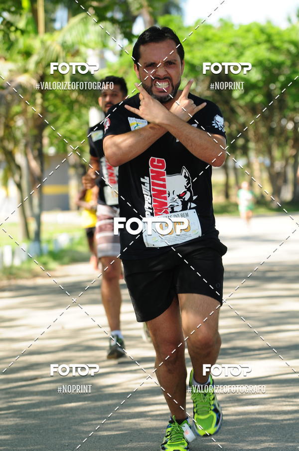 Compra tus fotos del eventoPIT BULL RUNNING En Fotop