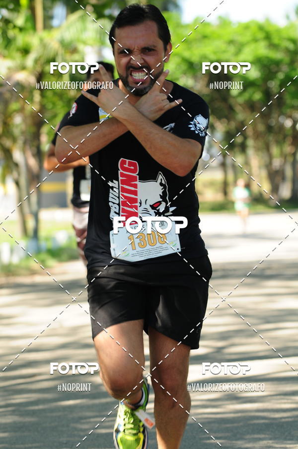 Compra tus fotos del eventoPIT BULL RUNNING En Fotop