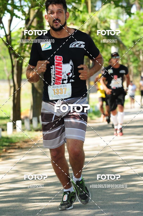 Compra tus fotos del eventoPIT BULL RUNNING En Fotop