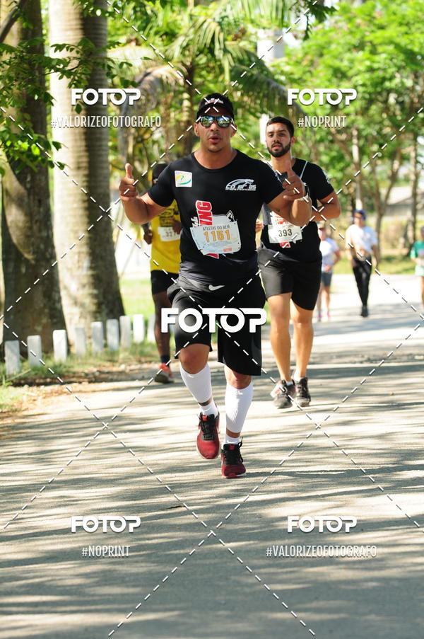 Compra tus fotos del eventoPIT BULL RUNNING En Fotop