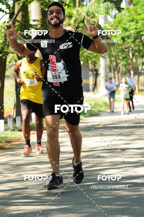 Compra tus fotos del eventoPIT BULL RUNNING En Fotop
