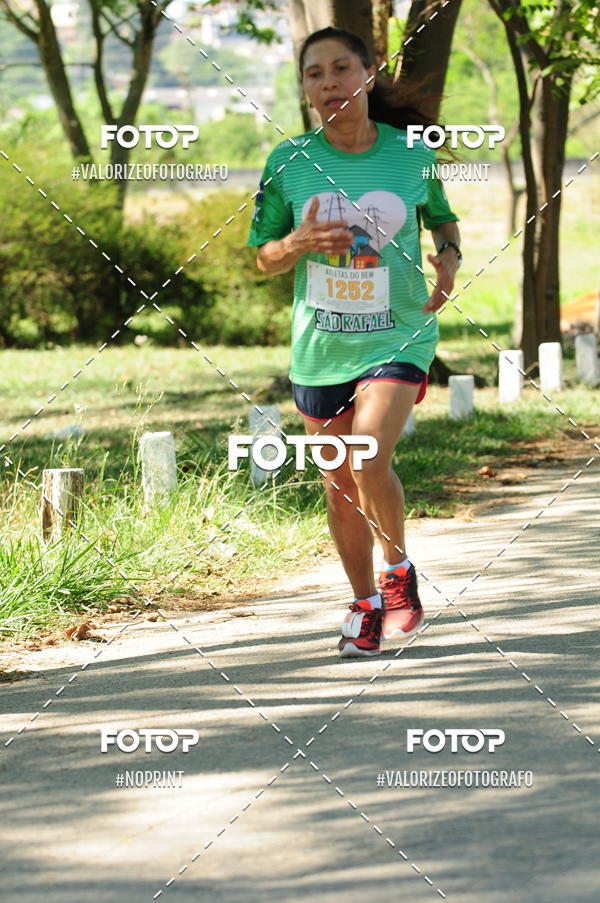 Compra tus fotos del eventoPIT BULL RUNNING En Fotop