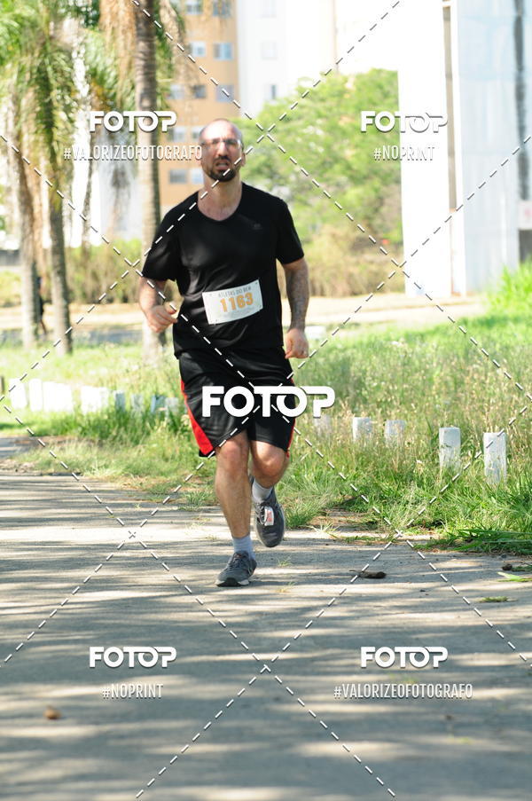 Compra tus fotos del eventoPIT BULL RUNNING En Fotop