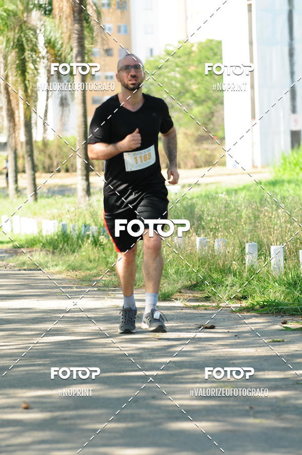 Compra tus fotos del eventoPIT BULL RUNNING En Fotop