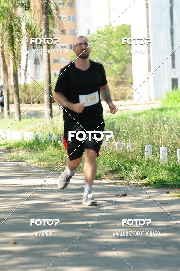 Compra tus fotos del eventoPIT BULL RUNNING En Fotop