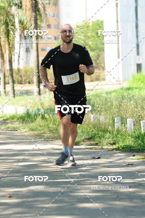 Compra tus fotos del eventoPIT BULL RUNNING En Fotop