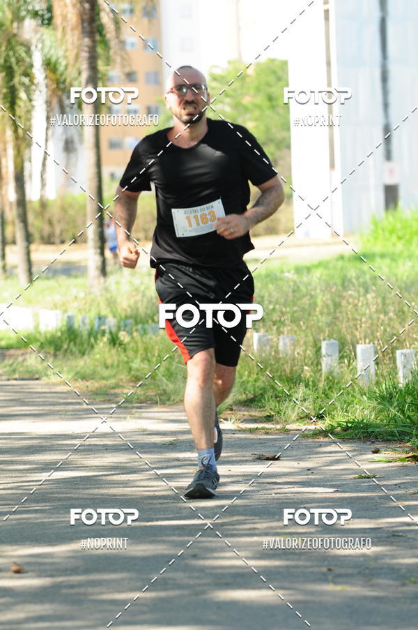 Compra tus fotos del eventoPIT BULL RUNNING En Fotop