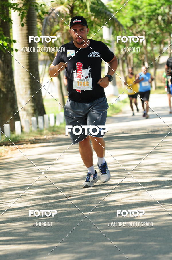 Compre suas fotos do eventoPIT BULL RUNNING no Fotop