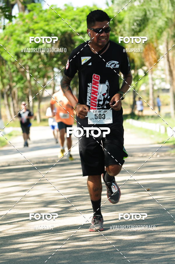 Acquista le foto dell'eventoPIT BULL RUNNING in Fotop