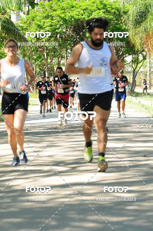 Compra tus fotos del eventoPIT BULL RUNNING En Fotop