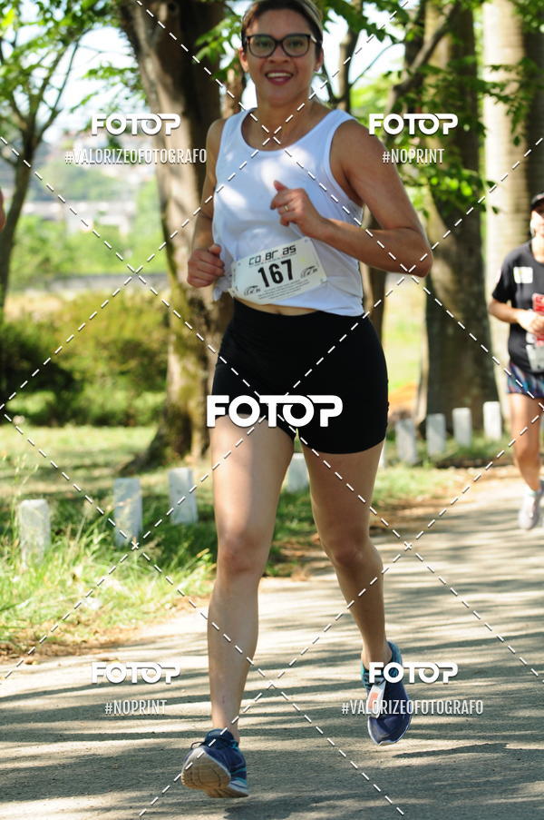 Compra tus fotos del eventoPIT BULL RUNNING En Fotop