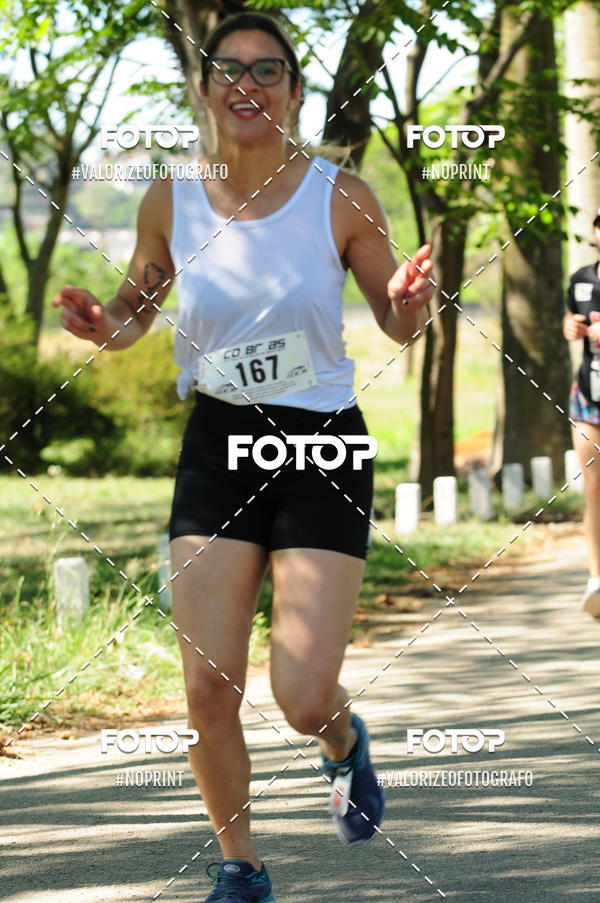 Compra tus fotos del eventoPIT BULL RUNNING En Fotop