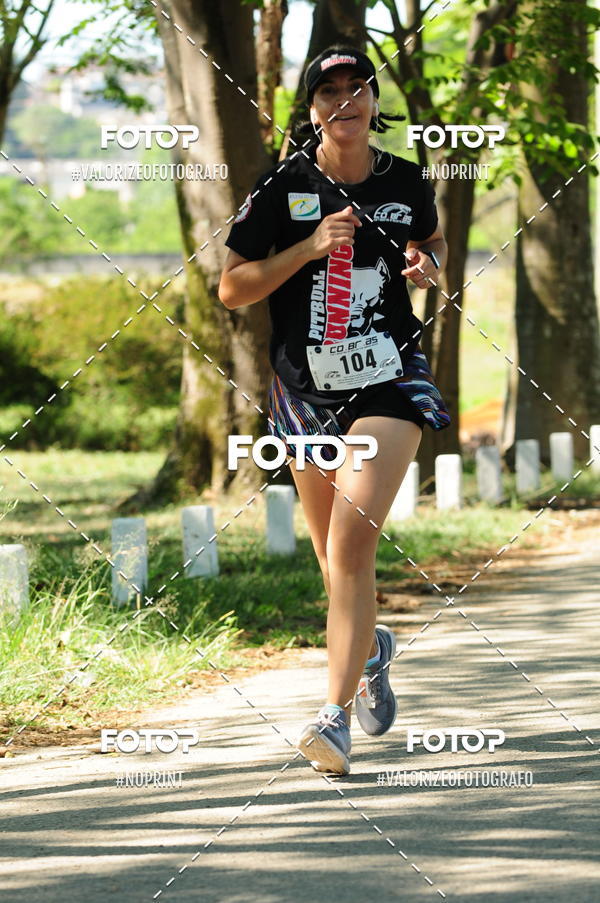 Compra tus fotos del eventoPIT BULL RUNNING En Fotop