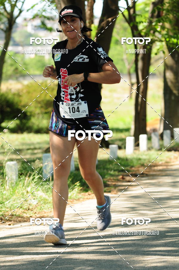 Compra tus fotos del eventoPIT BULL RUNNING En Fotop