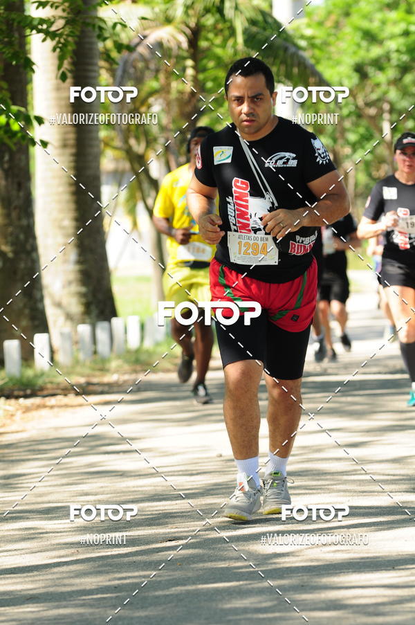 Compra tus fotos del eventoPIT BULL RUNNING En Fotop