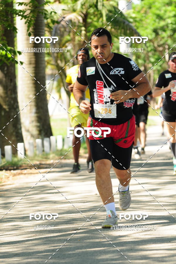 Compra tus fotos del eventoPIT BULL RUNNING En Fotop